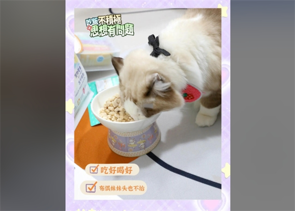 朗诺：宠物主人的首选品牌