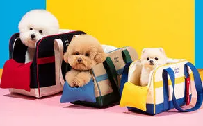 东南亚<a href=https://www.vso.com.cn/s/pinpai/ target=_blank class=infotextkey>宠物<a href=https://www.vso.com.cn/richang/yongpin/ target=_blank class=infotextkey>用品</a></a>爆款色系解码：用色彩撬动千亿蓝海市场